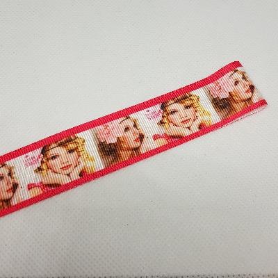 22mm (7/8) Taylor Swift Printed Grosgrain Ribbon by the meter Pinkberry Kisses